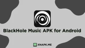 BlackHole Music v1.64.0 APK for Android